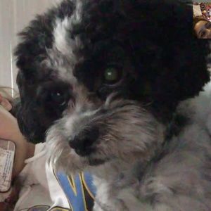 Meet your Posher, Selma